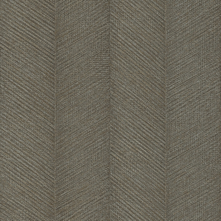���� Amara 720303, Rasch, �����-�������� 1