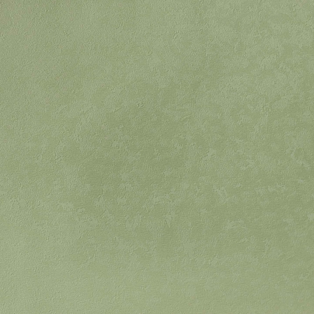 ���� ��� E202408, �������, �����-�������� 1