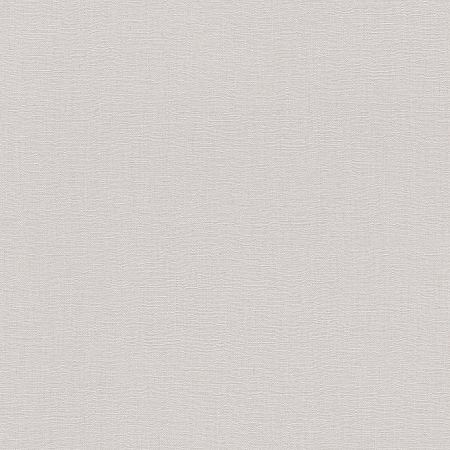���� Barbara Home Collection III 560053, Rasch, �����-�������� 1