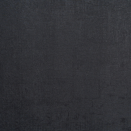 ���� Forest  AR11248-05, ������, �����-�������� 6