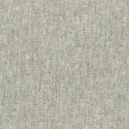 ���� Axiom 917017, Rasch, �����-�������� 1