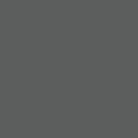 ���� Atlantis 60881-06, Erismann, �����-�������� 1