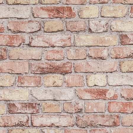 ���� Selena AR10830-03, ������, �����-�������� 1