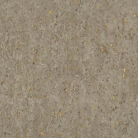 ���� Curiosity 538342, Rasch, �����-�������� 1