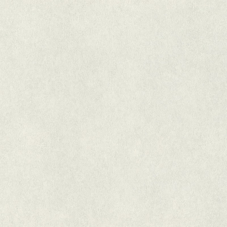 ���� Wall Textures 957303, Rasch, �����-�������� 1