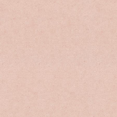 ���� Gentle ER12207-23, Erismann, �����-�������� 1