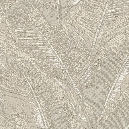 ���� Fern 9193-02, Monte Solaro, �����-�������� 1