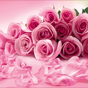 Розовые розы 075 (1,96х2,6 м)