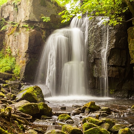 Фотообои Водопад в реликтовом лесу B-092 (3,0х2,7 м), Дивино Декор