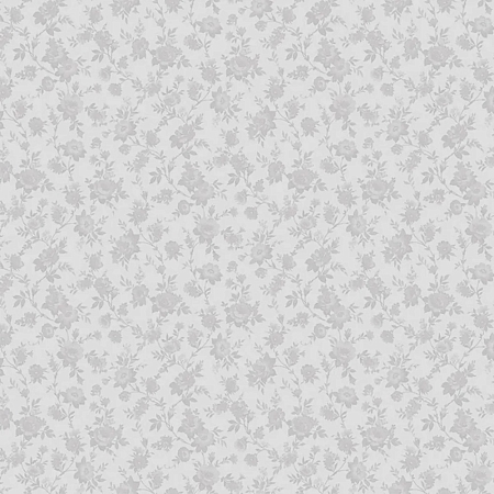 ���� Basic 60094-06, Erismann, �����-�������� 1
