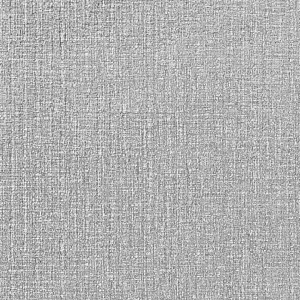 ���� 5036-21