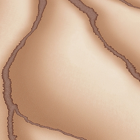 ���� Elle 3 ER12169-02, Erismann, �����-�������� 5