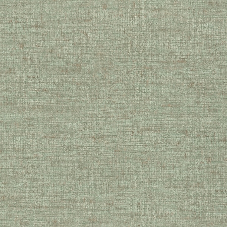 ���� Axiom 915938, Rasch, �����-�������� 1