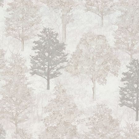 ���� Altai 9108-01, Monte Solaro, �����-�������� 1