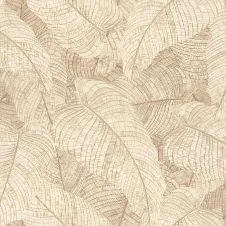 ���� Amara 720556, Rasch, �����-�������� 1
