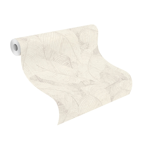 ���� Amara 720525, Rasch, �����-�������� 2