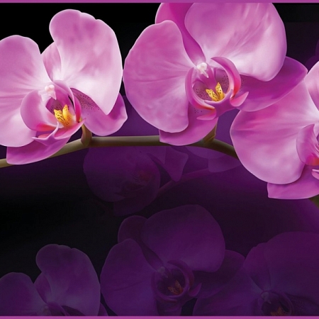 Фотообои Зеркальная орхидея 002 (2,94х1,34 м), Восторг 1
