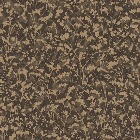 ���� Amara 720754, Rasch, �����-�������� 1