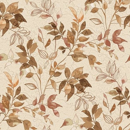 ���� Dolce Vita 2402-5, Alessandro Allori, �����-�������� 1