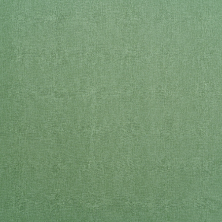 ���� Forest  AR11248-03, ������, �����-�������� 3