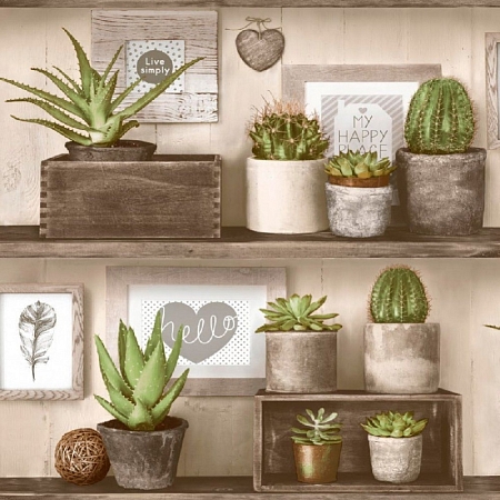 ���� ������ 2016-02, Euro Decor, �����-������ 1