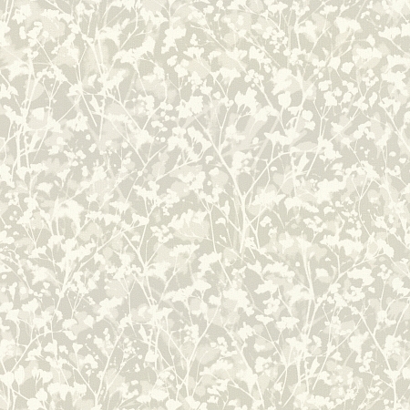 ���� Amara 720761, Rasch, �����-�������� 1