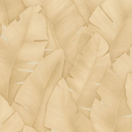 ���� Tropicana 9148-01, Monte Solaro, �����-�������� 1