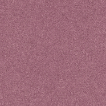 ���� Gentle ER12207-06, Erismann, �����-�������� 2