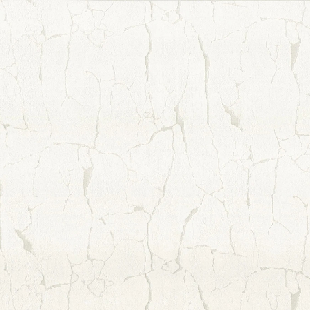 ���� Felicita R 23306, Fipar, �����-�������� 1