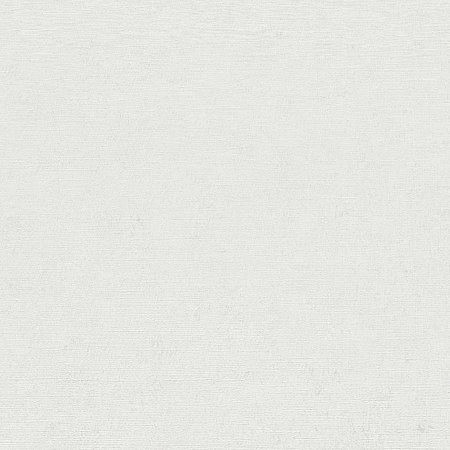 ���� Gentle ER12207-01, Erismann, �����-�������� 2