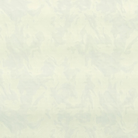 ���� Felicita R 23337, Fipar, �����-�������� 1