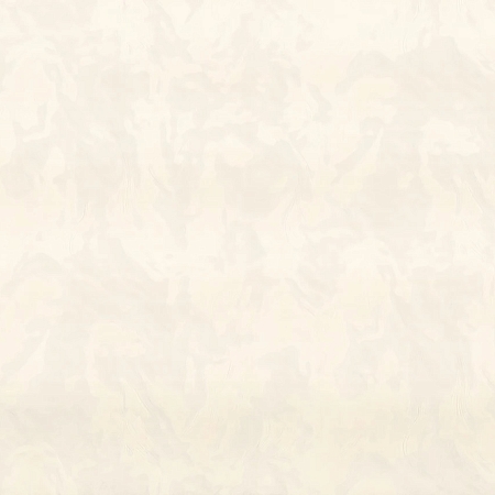 ���� Felicita R 23335, Fipar, �����-�������� 1
