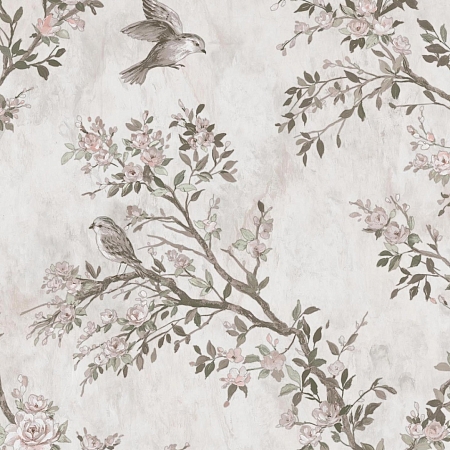 ���� Arte Bella 80326, Prima Italiana, �����-�������� 1