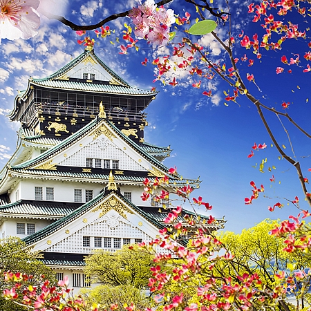 Фотообои Замок в Осаке C-391 (3,0х2,38 м), Дивино Декор 1