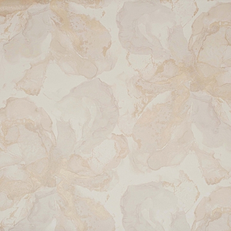 ���� Brilla R23542, Fipar, �����-�������� 1