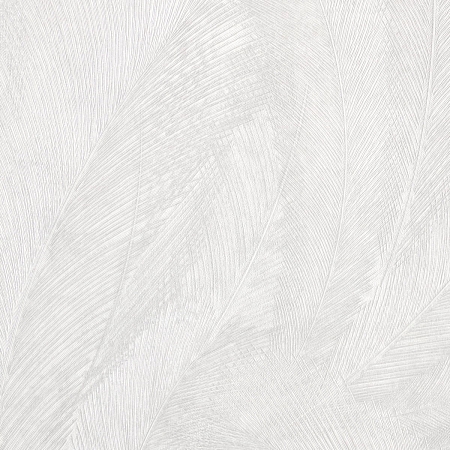 ���� Elysium Secrets ER12233-31, Erismann, �����-�������� 6