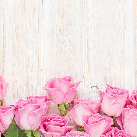 Фотообои Бутоны роз D-077 (3,0х2,7 м), Дивино Декор