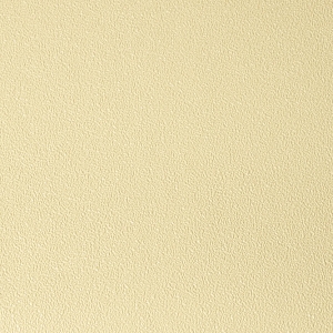 Color 4060-090