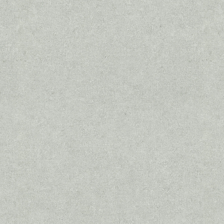 ���� Gentle ER12207-24, Erismann, �����-�������� 2
