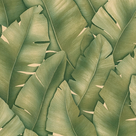 ���� Tropicana 9148-04, Monte Solaro, �����-�������� 1