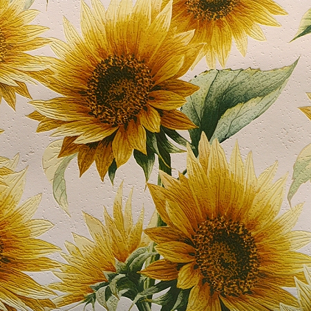 ���� ���������� 900701, �������, �����-������ 1