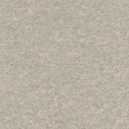 ���� Excellent RH554342, Rasch, �����-�������� 1
