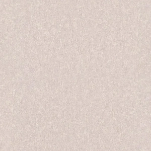 ������ 0491-61