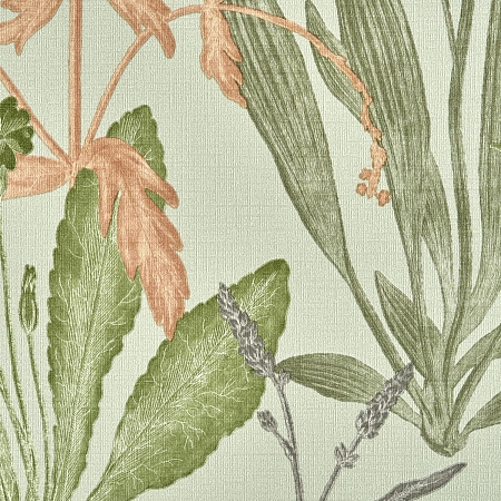 ���� Fiori 79207-2, AS Creation, �����-�������� 2