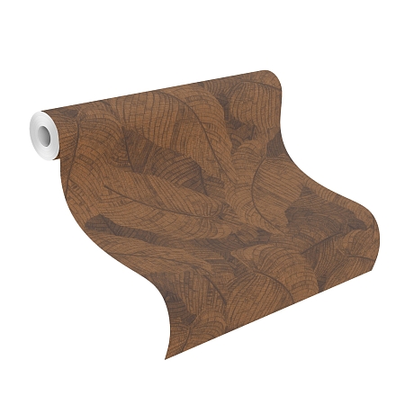 ���� Amara 720563, Rasch, �����-�������� 2
