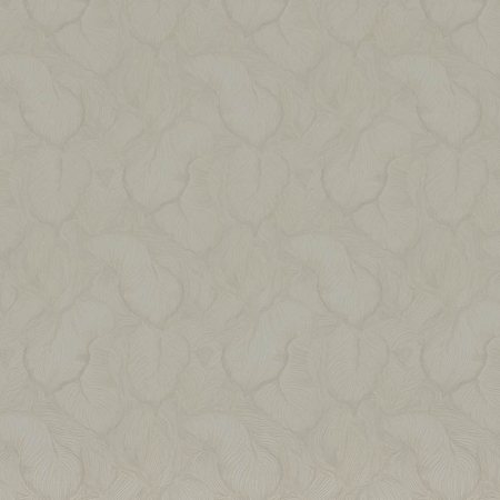 ���� Colori Del Sole R23127, Fipar, �����-�������� 1