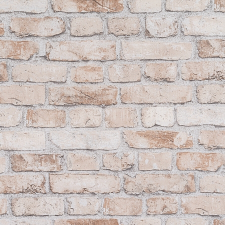 ���� Selena AR10830-02, ������, �����-�������� 2