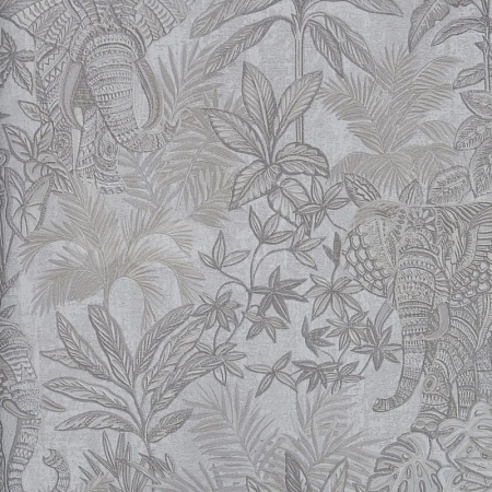 ���� Provasi 2501-1, Alessandro Allori, �����-�������� 1