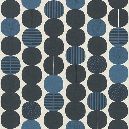 ���� Amazing 539745, Rasch, �����-�������� 1