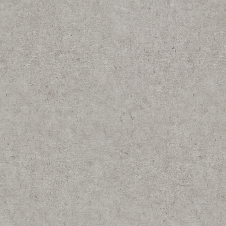 ���� Trend 974249, Rasch, �����-�������� 1